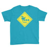 chocobo xing final fantasy Youth Tee