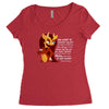 hormone monstress Women's Triblend Scoop T-shirt