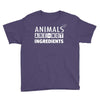 Animals Are Not Ingredients Youth Tee