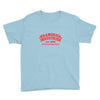 kramerica Youth Tee