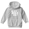 is my bike ok Youth Hoodie
