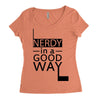nerdy in a good way Women's Triblend Scoop T-shirt