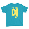 im a dj graphic tee mens Youth Tee