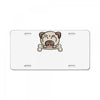 cute pug dog License Plate
