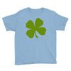 irish (2) Youth Tee