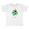 ok (2) Toddler T-shirt