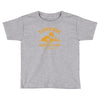 two suns of fun Toddler T-shirt