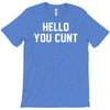 hello you c'nt T-Shirt