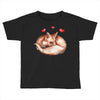 Baby Fox Belly Toddler T-shirt