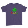 is smoke Youth Tee