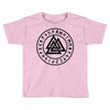 valhalla rune Toddler T-shirt