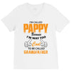 I'm Called Pappy  Because  I'm Way Too Cool To Be Called Grandfather V-Neck Tee