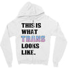 This is What Trans Looks Like Zipper Hoodie