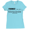 Feminist Noun Ladies Fitted T-Shirt