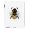 realistic bee iPad 3 and 4 Case