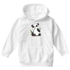 panda (2) Youth Hoodie