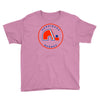 quebec nordiques hockey team Youth Tee