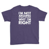 i'm not arguing i'm simply explaining why i'm right Youth Tee