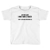 I Only Have Two Faults Funny T shirts Toddler T-shirt