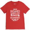 Perfect Freakin Granddad V-Neck Tee