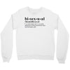 Bisexual Dictionary Crewneck Sweatshirt