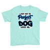 i may not be be perfect but my dog loves me Youth Tee