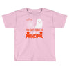you cant scare principal Toddler T-shirt