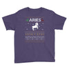 aries  christmas ugly sweater Youth Tee
