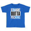 pubg - straight outta pochinki Toddler T-shirt