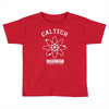 breaking bad   big bang theory   science Toddler T-shirt