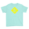 walter white danger Youth Tee
