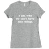 i am why we can't have nice things Ladies Fitted T-Shirt