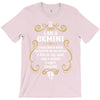 i am a gemini T-Shirt