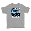 i may not be be perfect but my dog loves me Youth Tee