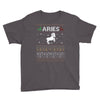 aries  christmas ugly sweater Youth Tee