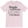 muggle in the streets, wizard in the sheets T-Shirt