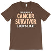 This Is What a Cancer Survivor Looks Like T-Shirt