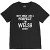 perfect welsh V-Neck Tee