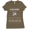 aquarius christmas ugly sweater Ladies Fitted T-Shirt