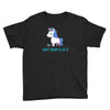 don't dream it, do it Youth Tee