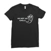 as hot as chilli Ladies Fitted T-Shirt