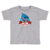 dr sid's Toddler T-shirt