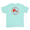 quebec nordiques hockey team Youth Tee
