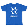 aquarius zodiac Toddler T-shirt