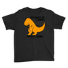 licensed to carry small arms Youth Tee