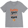 pumpkin spice and everything nice V-Neck Tee