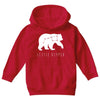 Little Dipper Youth Hoodie