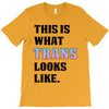 This is What Trans Looks Like T-Shirt