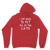 cat Youth Hoodie