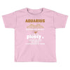 Aquarius Hated By Many Wanted By Plenty Disliked By Some Confronted By Toddler T-shirt
